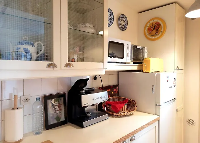 Apartment In Near Arc De Triomphe Paris